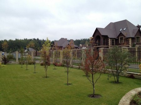 ������� �������. ������� ������ ���������