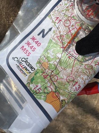 ������� � ������� ������� ����� ����������� ��������� ������������ �� ����������� �������������� �Grodno Forest day�