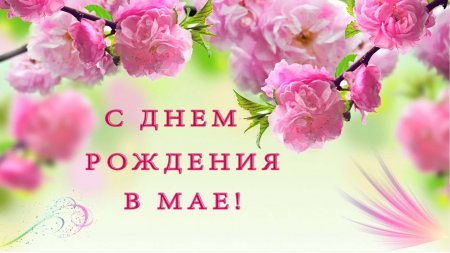 ������ � ���������� ���