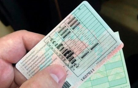 ����� ����������� ��� ���������: ��� �������� ������� ����� �� ������